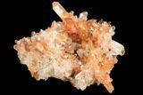 Orange Creedite Crystal Cluster - Durango, Mexico #84221-1